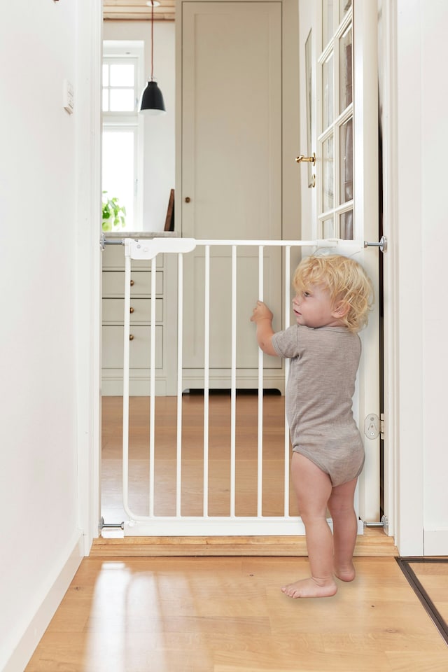 image 1 of BabyDan LISE Safety Gate