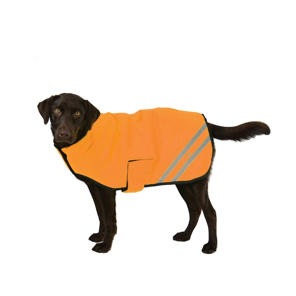 HyVIZ Reflector Waterproof Dog Coat - Orange - L