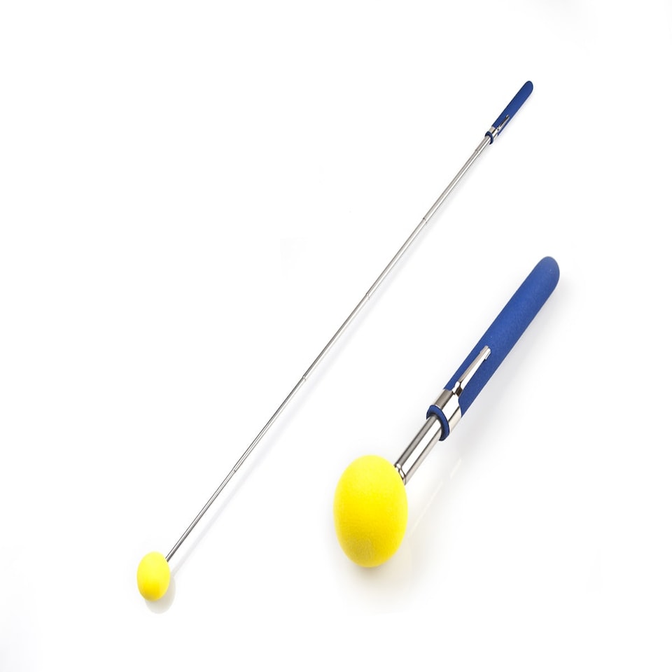 image 1 of Mary Ray Target Training Stick