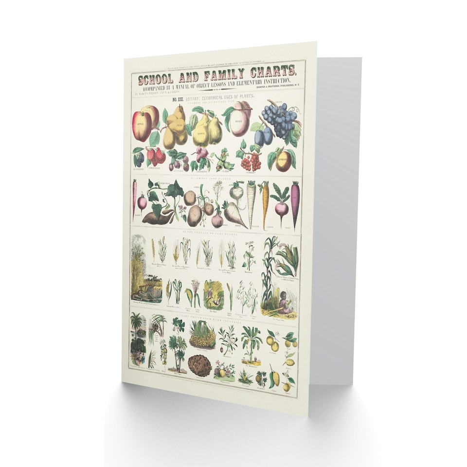image 1 of Willson and Calkins Art Card School And Family Charts No XXI