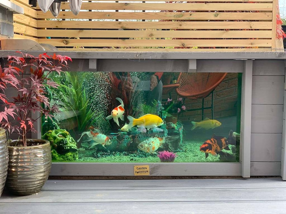 image 1 of Raised hexagon pond with large windows Lily Clear View Garden Aquarium in Seagrass Green