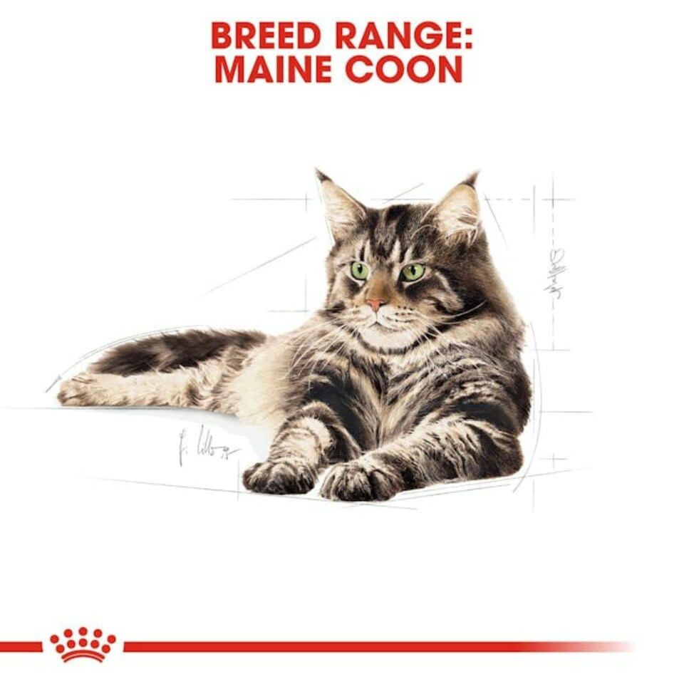 image 1 of Royal Canin Cat Maine Coon Adult - 10KG