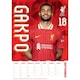 image 4 of Liverpool FC 2025 A3 Wall Calendar - Red/White/Black - One Size