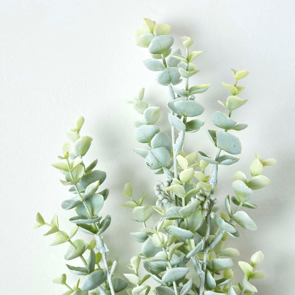 image 1 of Homescapes Eucalyptus Spray Single Stem 68 cm