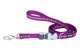 image 2 of Dog Superlead Design Daisy Chain Purple | Purple | S