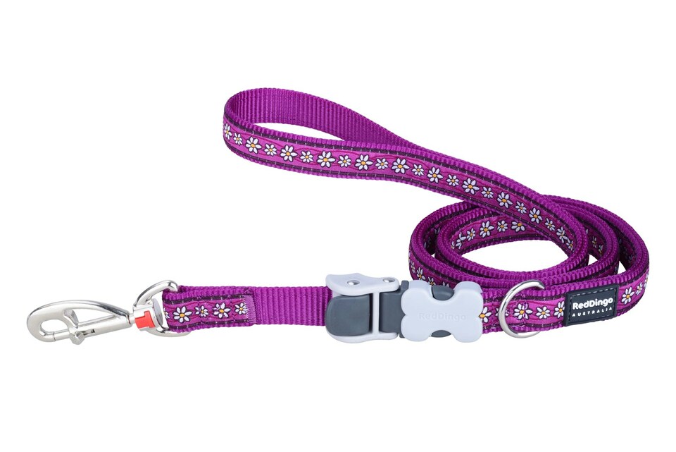 image 1 of Dog Superlead Design Daisy Chain Purple | Purple | S