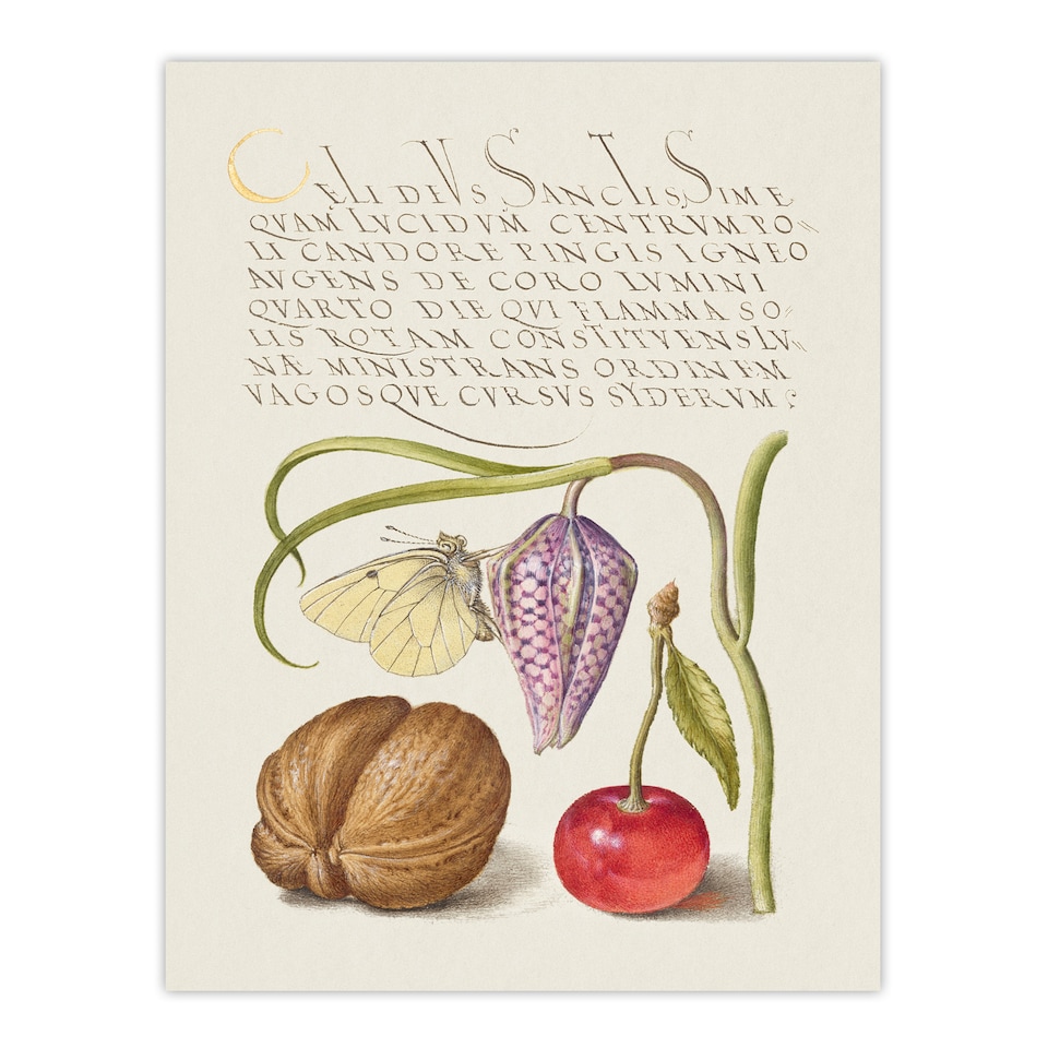 image 1 of Model Book of Calligraphy Framed Wall Art Snakeshead Walnut and Cherry