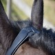 image 2 of Rhinegold Leather Lunge Cavesson Black | Size: Full
Colour: Black