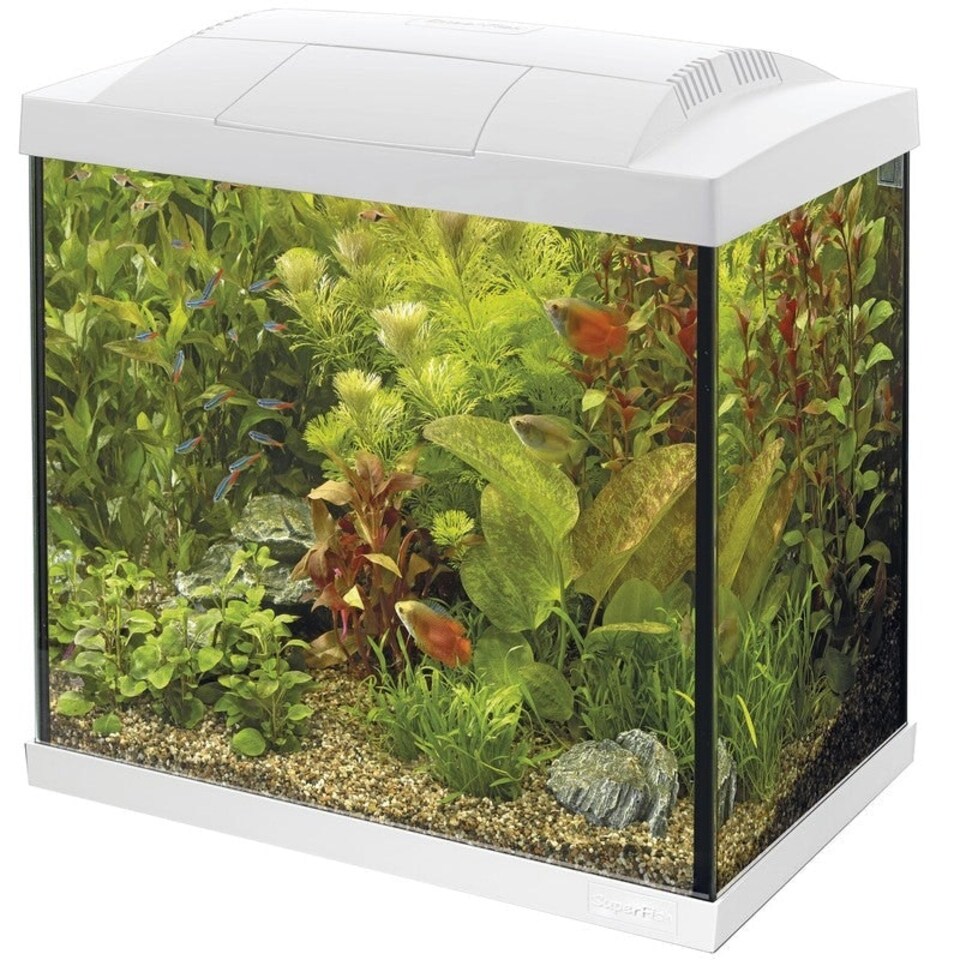 image 1 of Superfish Start 50 Tropical Aquarium Kits (40L) White