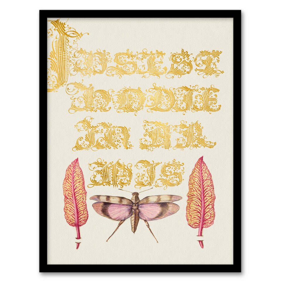 image 1 of Model Book of Calligraphy Framed Wall Art Chard and Red Winged Grasshopper