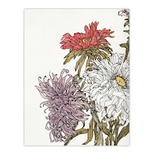Chrysanthemums Flower Painting Vintage Wall Art Print Graag 18x24"