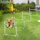 image 6 of PawHut 4 Pieces Dog Agility Training Equipment with Carrying Bag, White