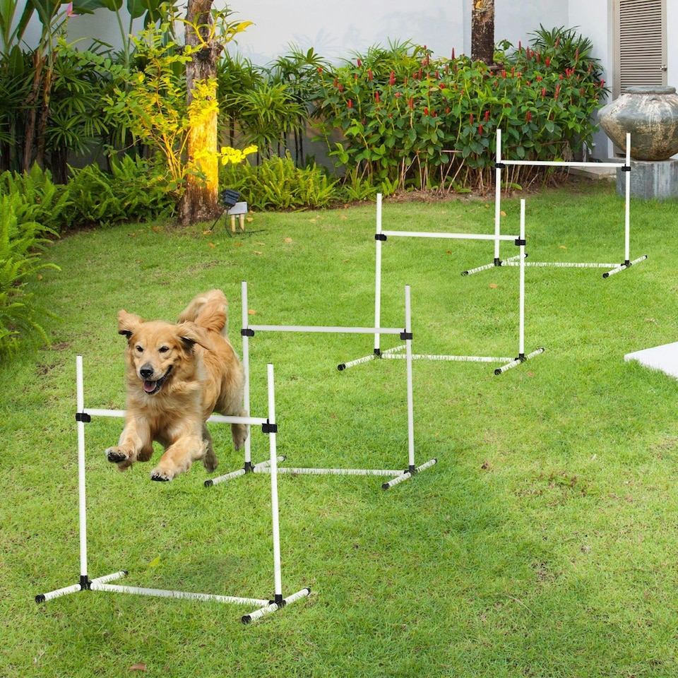 image 1 of PawHut 4 Pieces Dog Agility Training Equipment with Carrying Bag, White