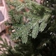 image 4 of 8ft 240cm Green Glenshee Spruce Artificial Christmas Tree PE and PVC Mix Natural Look