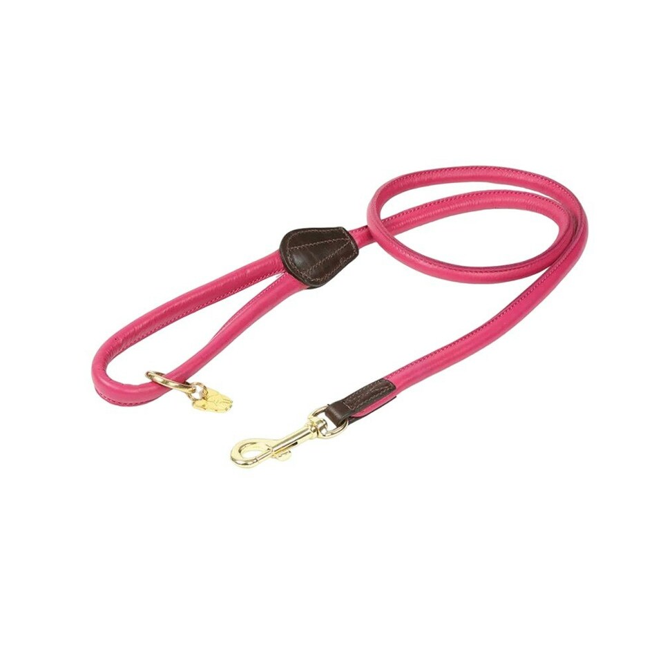 Digby & Fox Rolled Leather Dog Lead - Pink - One Size