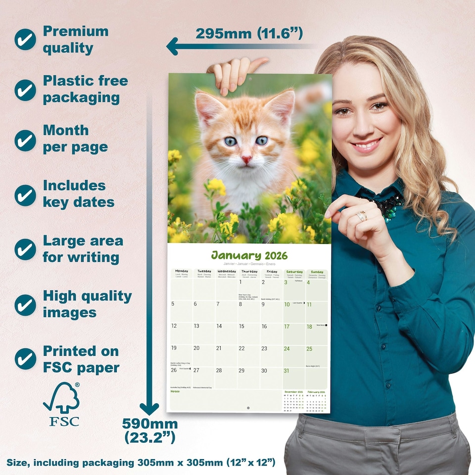 image 1 of Kittens 2026 Calendar | Square Wall Calendar | Cat Gift | Plastic Free Packaging | by Avonside Publishing