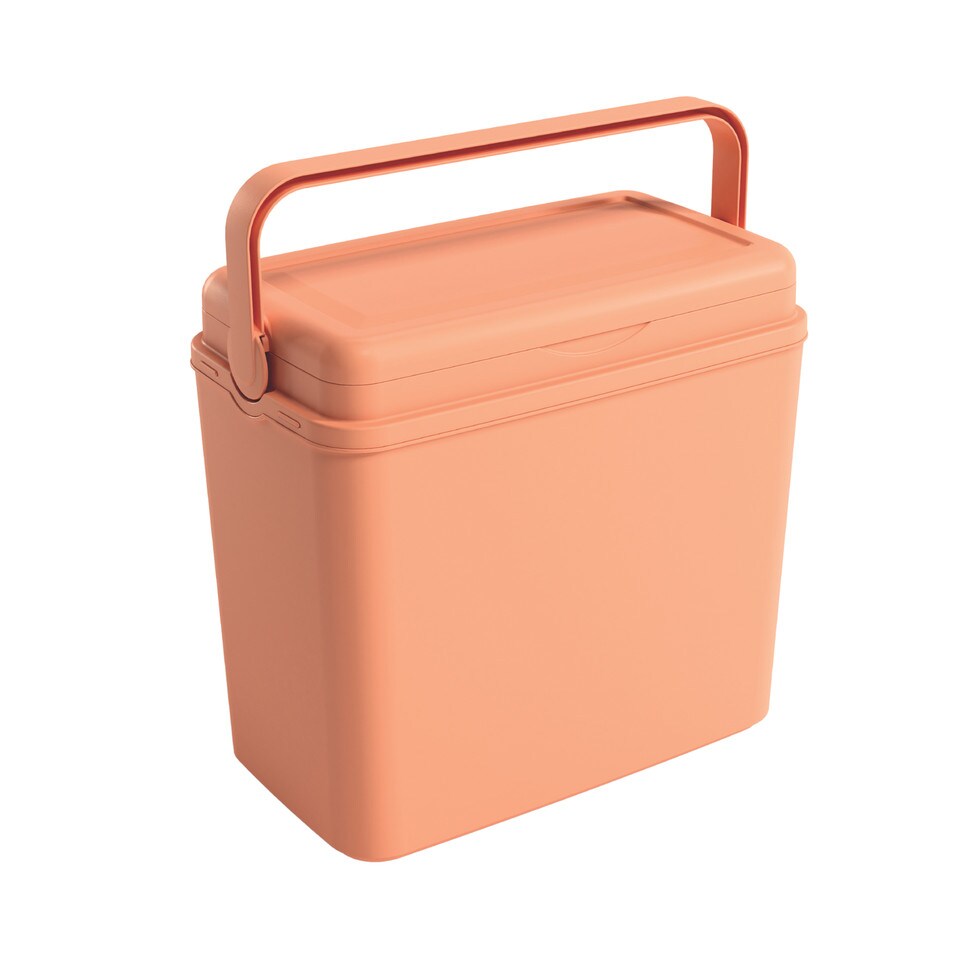 image 1 of Large 24L Pastel Coloured Cooler Box