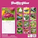 image 2 of Butterflies 2026 Calendar | Square Wall Calendar | Animal Gift | Plastic Free Packaging | by Avonside Publishing