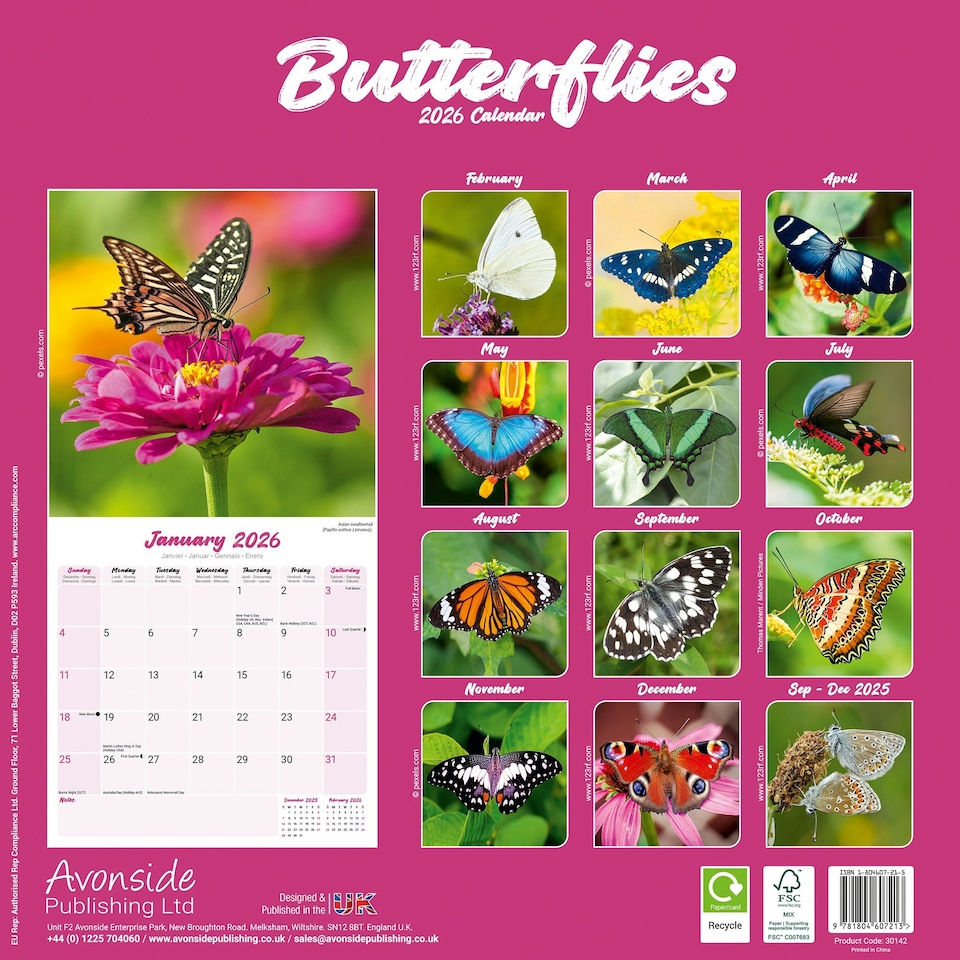 image 1 of Butterflies 2026 Calendar | Square Wall Calendar | Animal Gift | Plastic Free Packaging | by Avonside Publishing