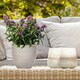 image 10 of Plaited Style Beige Round Garden Planter, Outdoor Plant Pot D24 H23 cm, 10.4 ltrs Cap.