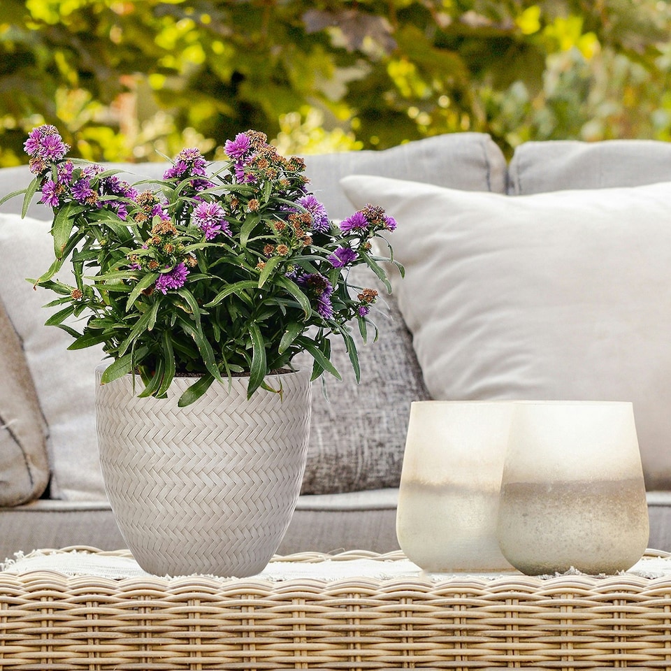 image 1 of Plaited Style Beige Round Garden Planter, Outdoor Plant Pot D24 H23 cm, 10.4 ltrs Cap.