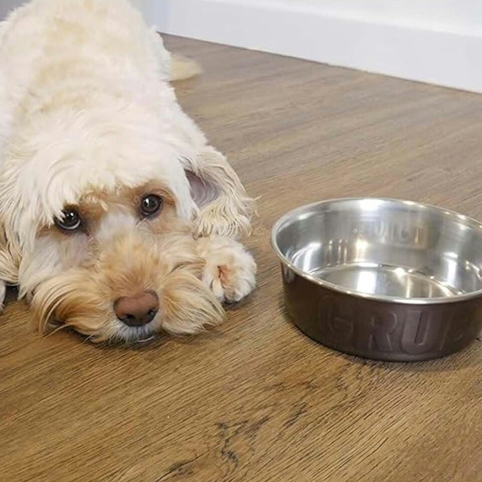 image 1 of Rosewood Stainless Steel Grub Dog Bowl | Copper | Small | 1