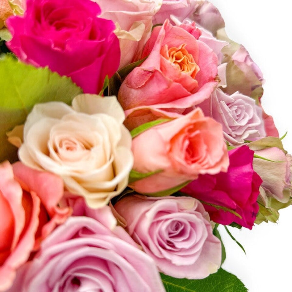 image 1 of Treasured Rose Mix