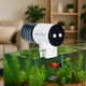 image 5 of Splashy (Automatic Fish Feeder)