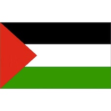 Palestine Flag - 5 x 3 ft