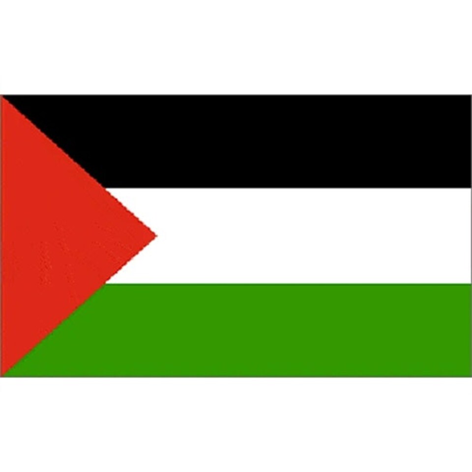 Palestine Flag - 5 x 3 ft