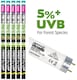 image 4 of Arcadia Euro Range T8 5% UVB Bulb | Multi | 30W 36" 900mm