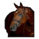 image 1 of Collegiate Comfitec Leather Horse Bridle | Brown | Dark Brown | Cob | 1
