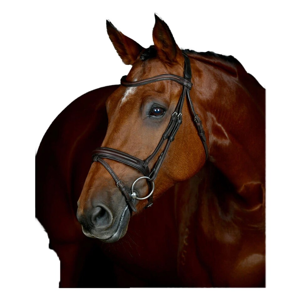 image 1 of Collegiate Comfitec Leather Horse Bridle | Brown | Dark Brown | Cob | 1