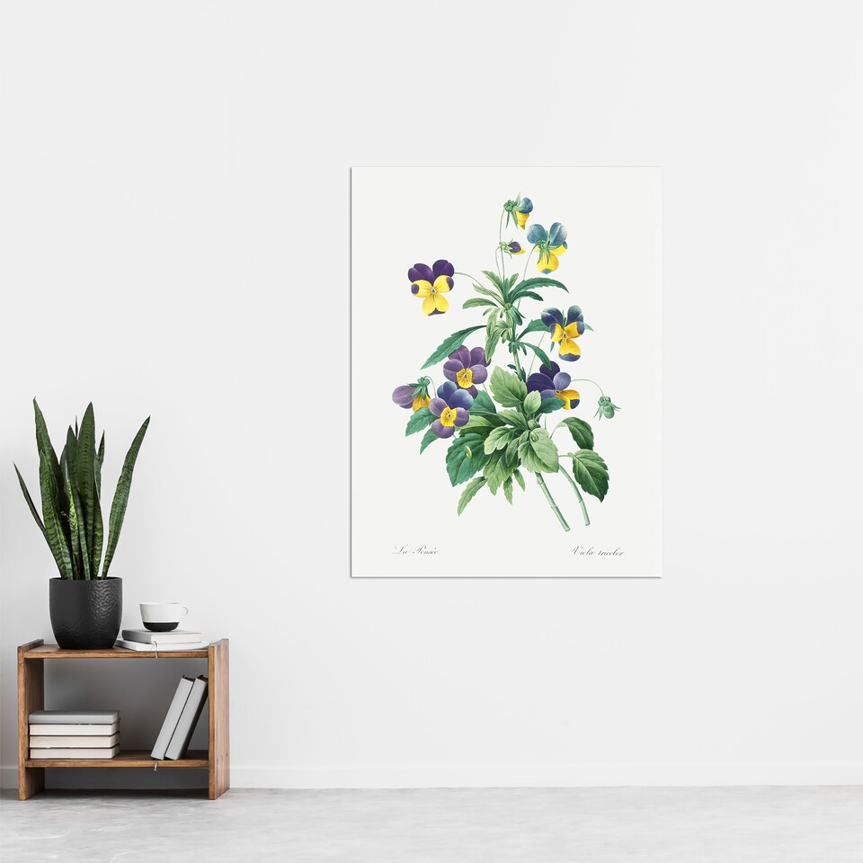 image 1 of Wild Pansy Flower Illustration Redoute Vintage Huge Wall Art Poster Print 24X32"