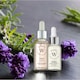 image 3 of Warda Luxury Skincare Skin Glow Boost Vitamin C Eye Serum 15ml + Vitamin C Glow Boost Oil-Serum 30ml