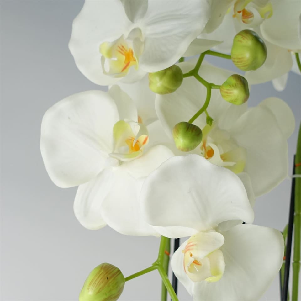 image 1 of 150cm Giant White Orchid Plant - Artificial - 189 flowers REAL TOUCH