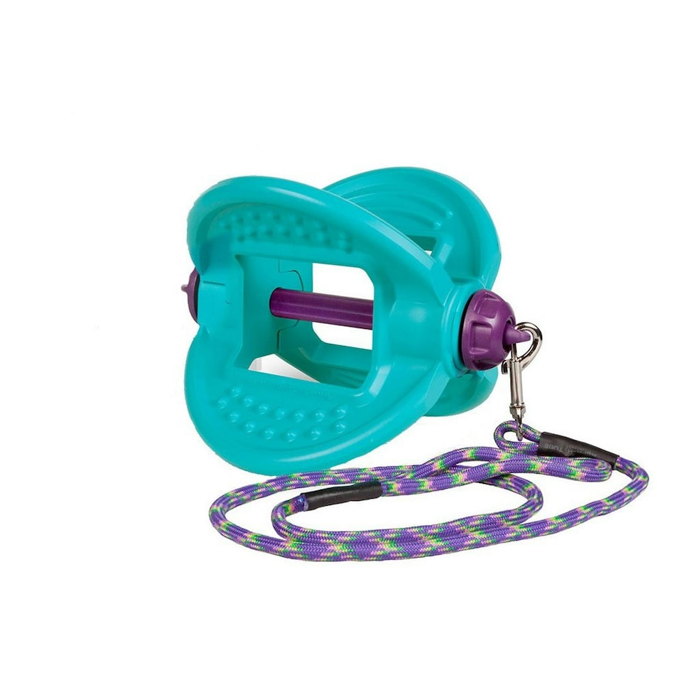 Bizzy Bites Equine Teether Toy - Aqua - One Size