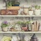 image 1 of Shades Flower Pots Wallpaper Garden Rustic Shelves Distressed Green Grey White