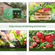 image 6 of Outsunny Tunnel Greenhouse w/ PE Cover, Outdoor Plant House w/ Door & Window
