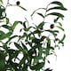 image 4 of Artificial Olive Tree Bush UK Artificial Olive Tree | Green | 4ft