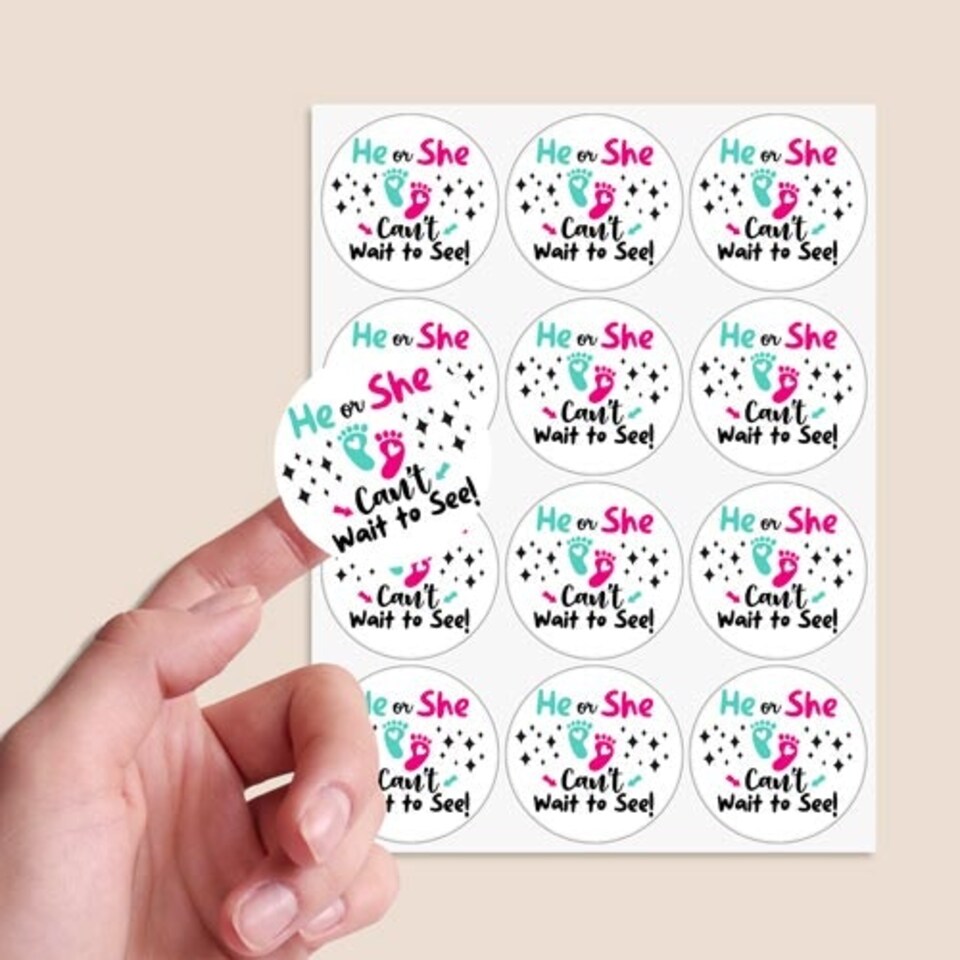 image 1 of Can't Wait to See Gender Reveal Round Stickers 60mm - Sheet of 12