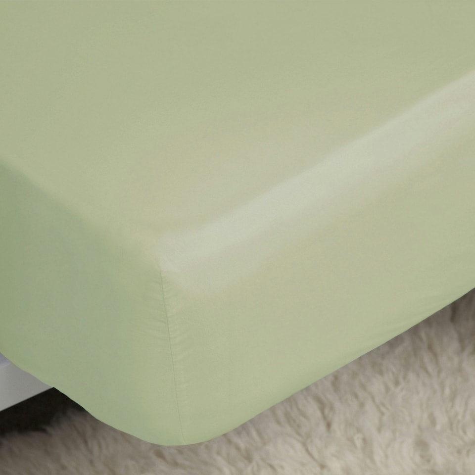 Belledorm Easycare Percale Fitted Sheet - Ivory - 6ft 6in