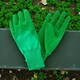 image 3 of Kent & Stowe Gardening Gloves Men Large Thorn Resistant Latex with Cotton Lining Strong Grip for Pruning & Weeding | Green