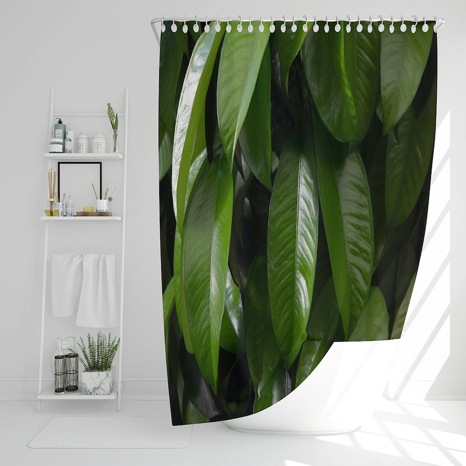image 1 of Closeup of beautiful glossy green leaves (Shower Curtain)