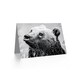 image 2 of Wet Bear Black White Photograph Animal Lover Birthday Card