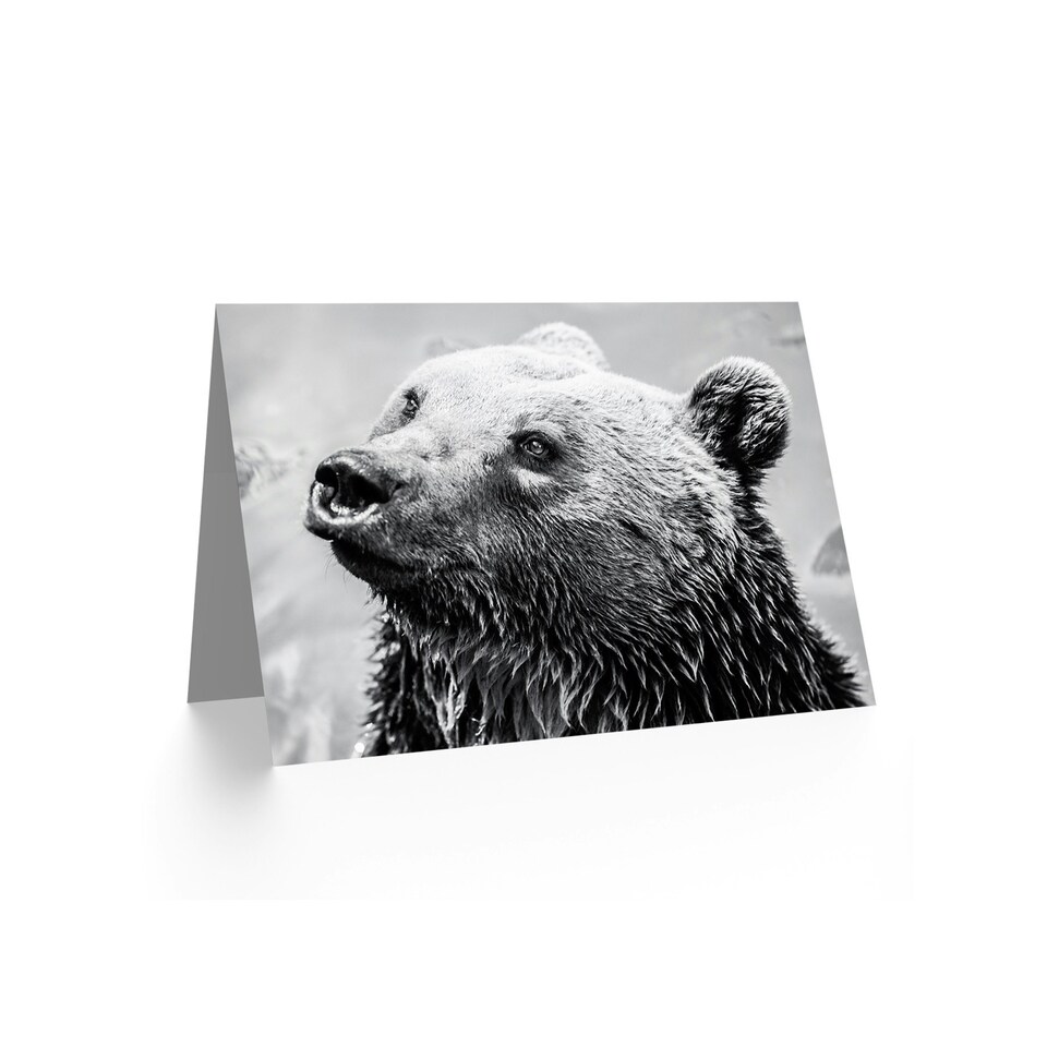 image 1 of Wet Bear Black White Photograph Animal Lover Birthday Card