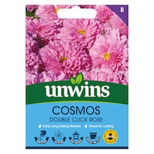 Cosmos Double Click Rose Bon Bon | Multi | Green, Pink, Red | Flower Seeds