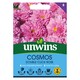 image 1 of Cosmos Double Click Rose Bon Bon | Multi | Green, Pink, Red | Flower Seeds