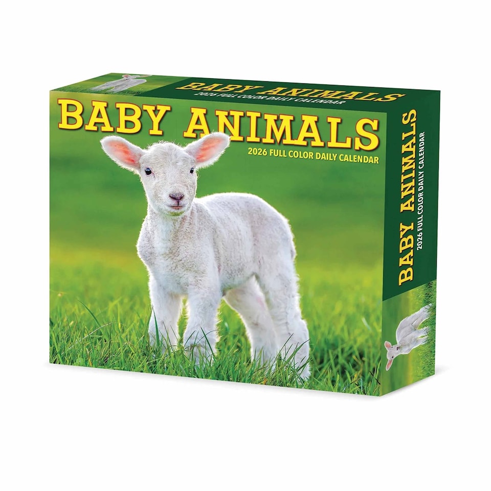 image 1 of Baby Animals Desk Calendar 2026, Desk Calendars, Day To View, Animals, Gift