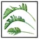image 2 of Triple botanical (Picture Frame) Brown | S